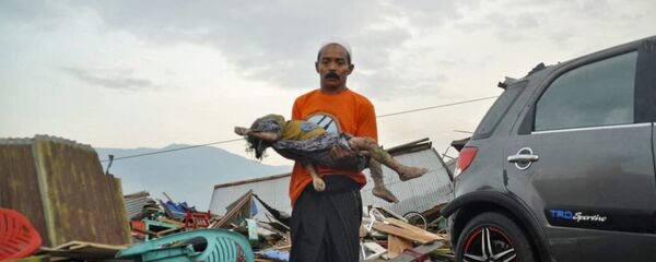 تلفات زلزله اندونزیا به 384 تن رسید تلفات زلزله اندونزیا به 384 تن رسید - اسپوتنیک افغانستان