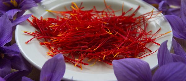 رییس جمهور غنی واردات زعفران به کشور را منع کرد - اسپوتنیک افغانستان  