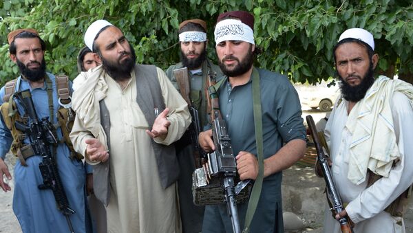دسترسی گروه تروریستی طالبان به فن آوری فیبرنوری - اسپوتنیک افغانستان  