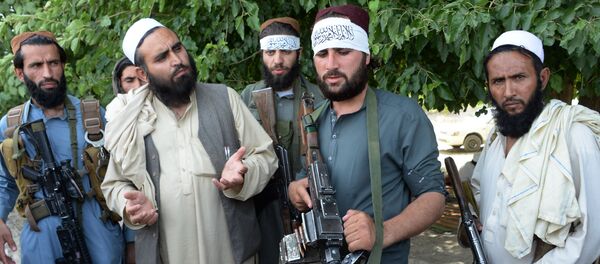 دسترسی گروه تروریستی طالبان به فن آوری فیبرنوری دسترسی گروه تروریستی طالبان به فن آوری فیبرنوری - اسپوتنیک افغانستان