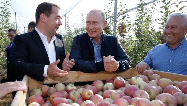 Председатель правительства РФ Дмитрий Медведев и президент РФ Владимир Путин во время осмотра яблоневых садов в Ставропольском крае - اسپوتنیک افغانستان  