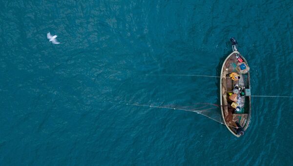 کشتی پانامایی در دریای سیاه غرق شد - اسپوتنیک افغانستان  