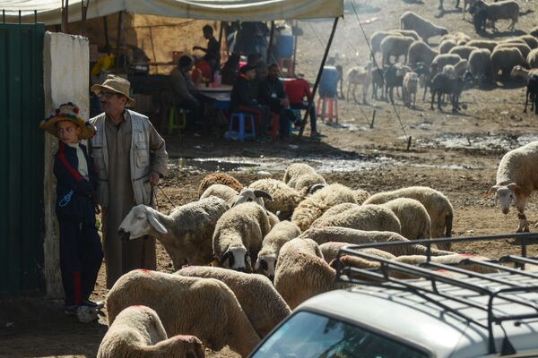 بازار شهر طنجه مراکش - اسپوتنیک افغانستان  