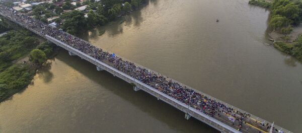 پنتاگون آماده فرستادن نیرو به مرز مکزیک است پنتاگون آماده فرستادن نیرو به مرز مکزیک است - اسپوتنیک افغانستان