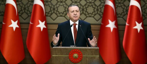 اردوغان: ترکیه حق انجام عملیات در خاک سوریه را دارد اردوغان: ترکیه حق انجام عملیات در خاک سوریه را دارد - اسپوتنیک افغانستان