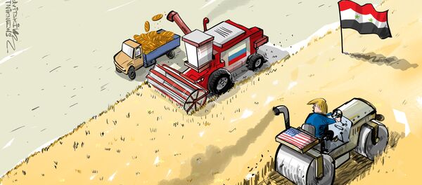 ایجاد مرکز صادرات گندم روسیه در سوریه - اسپوتنیک افغانستان  