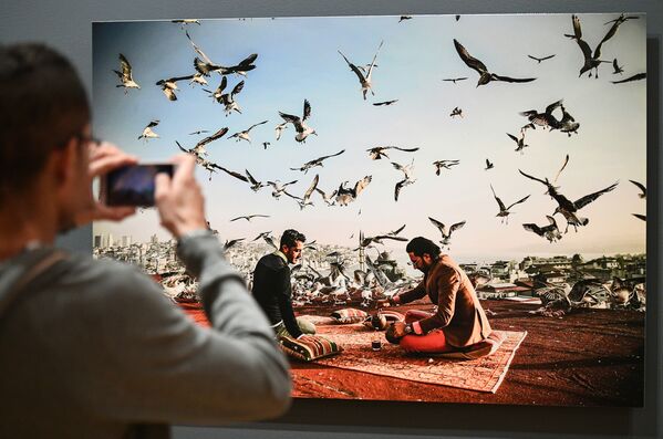 بازدیدکننده نمایشگاه برندگان مسابقه بین المللی عکاسی - اسپوتنیک افغانستان  