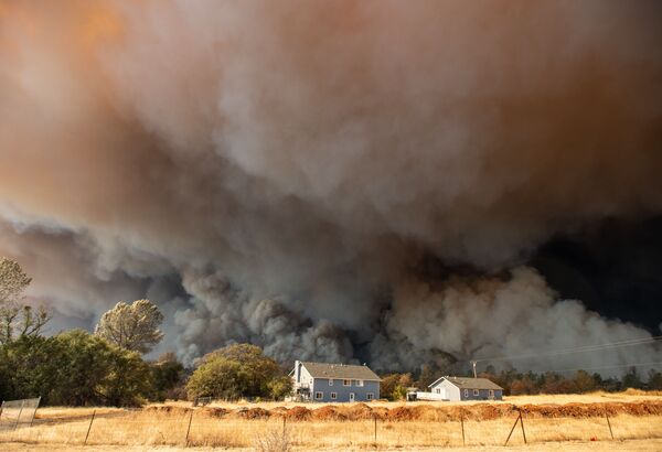 گردباد آتشین در ایالت کالیفرنیا، امریکا - اسپوتنیک افغانستان  