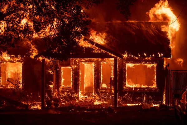 آتش سوزی گسترده در ایالت کالیفرنیا، امریکا - اسپوتنیک افغانستان  