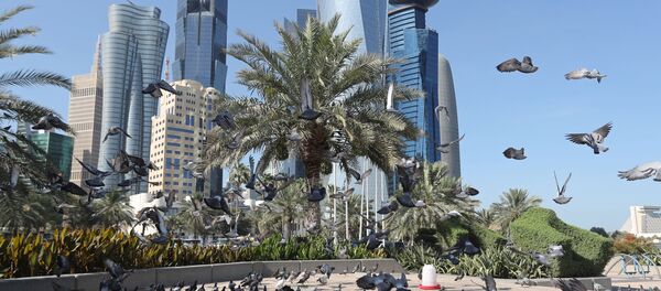 بارندگی سنگین برای نخستین بار پس از چندین سال در قطر بارندگی سنگین برای نخستین بار پس از چندین سال در قطر - اسپوتنیک افغانستان