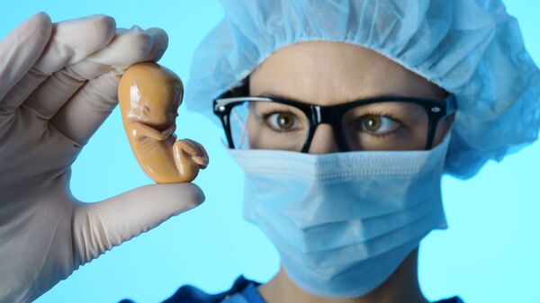 Врач держит модель эмбриона - اسپوتنیک افغانستان  