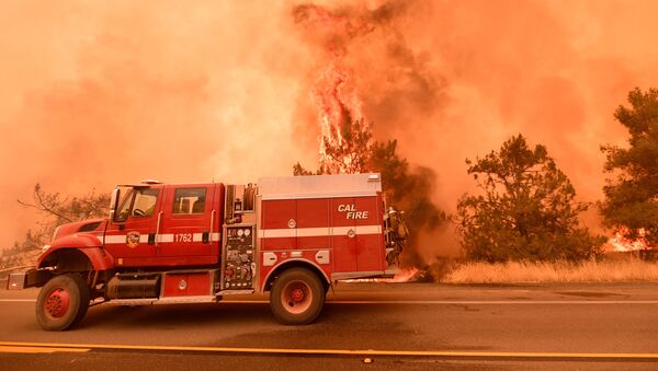 شمار قربانیان آتش‌سوزی در کالیفرنیا به 60 نفر رسید - اسپوتنیک افغانستان  