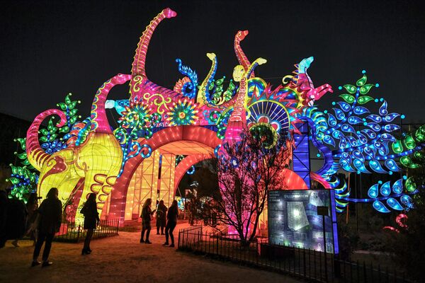 جشنواره نور - باغ گیاه شناسی پاریس، فرانسه - اسپوتنیک افغانستان  