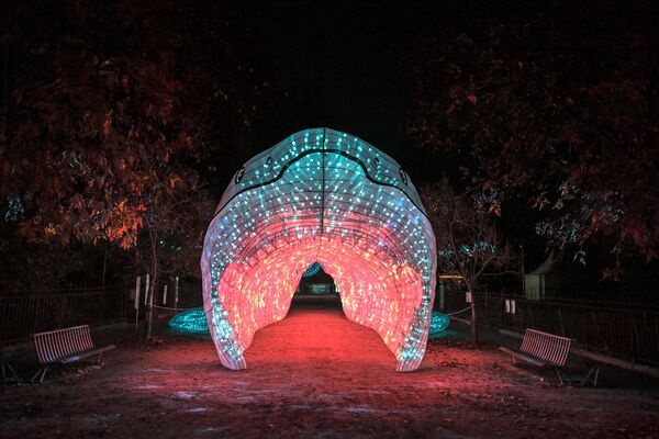 جشنواره نور - باغ گیاه شناسی پاریس، فرانسه - اسپوتنیک افغانستان  