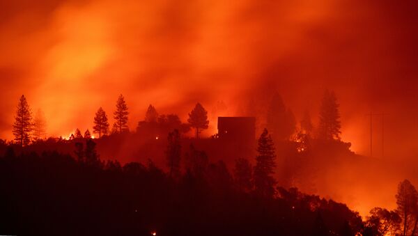 Природные пожары в Калифорнии, США - اسپوتنیک افغانستان  