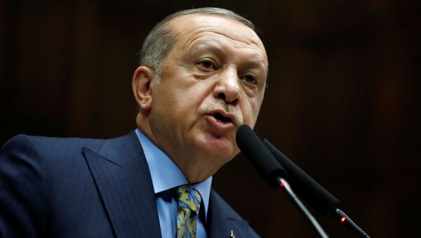 اردوغان: خط لوله گاز ترکیه به کشورهای اروپایی انگیزۀ جدید می‌بخشد - اسپوتنیک افغانستان  