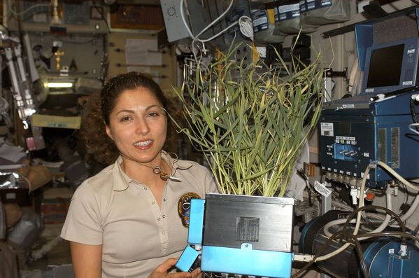 انوشه انصاری، فضانورد توریست در ایستگاه بین المللی فضایی - اسپوتنیک افغانستان  