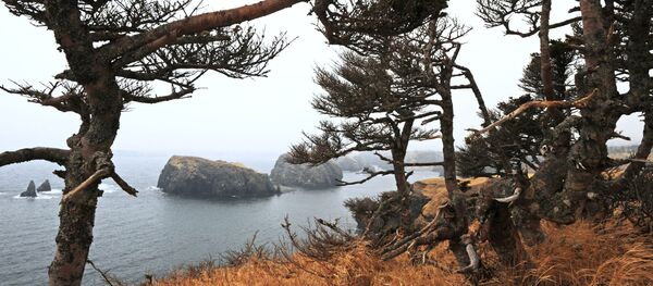در توکیو خواستند تا جزایر کوریل، جز خاک جاپان اعلام شوند در توکیو خواستند تا جزایر کوریل، جز خاک جاپان اعلام شوند - اسپوتنیک افغانستان