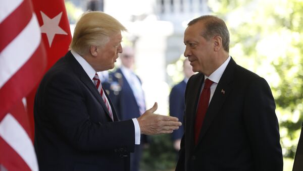 امریکا از ترکیه اعلام حمایت کرد - اسپوتنیک افغانستان  