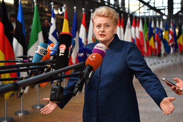 دالیا گریبوسکایته، رئیس جمهور لیتوانیا در حال پاسخ دادن به سوالات ژورنالیستان - اسپوتنیک افغانستان  