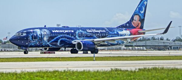 شوخی بیمزه یک مسافر با بیماری کرونا باعث فرود هواپیما شد  شوخی بیمزه یک مسافر با بیماری کرونا باعث فرود هواپیما شد  - اسپوتنیک افغانستان