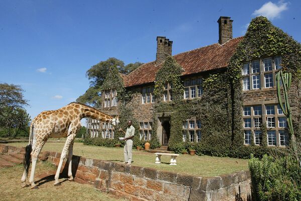 هوتل «Giraffe Manor» در کنیا - اسپوتنیک افغانستان  