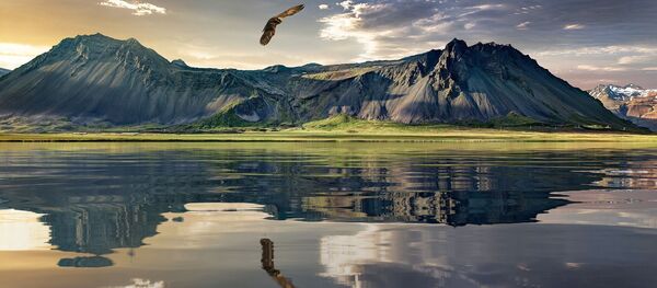 ویروس همهگیر چینایی به نیوزیلند رسید ویروس همهگیر چینایی به نیوزیلند رسید - اسپوتنیک افغانستان