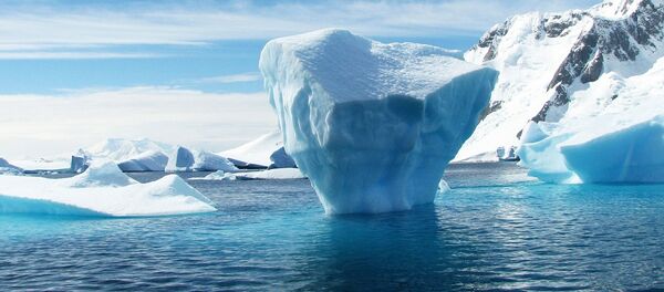 یافت شدن بقایای موجودات زنده مرموز در قطب جنوب یافت شدن بقایای موجودات زنده مرموز در قطب جنوب - اسپوتنیک افغانستان