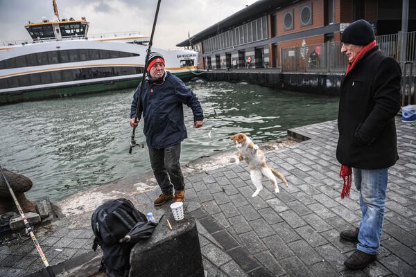 مردی در حال ماهیگیری – استانبول، ترکیه - اسپوتنیک افغانستان  