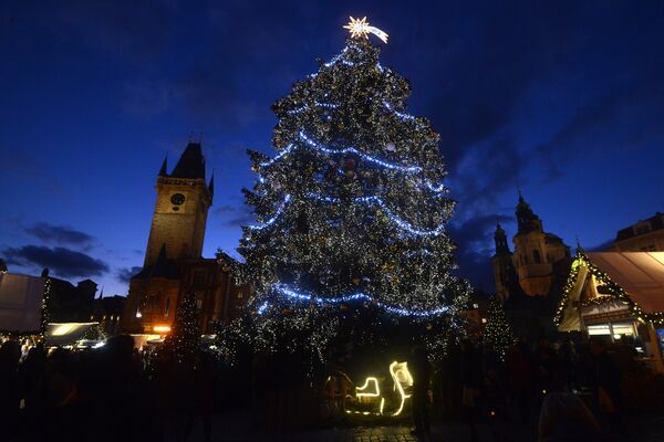 درخت کریسمس در پراگ، پایتخت چک - اسپوتنیک افغانستان  