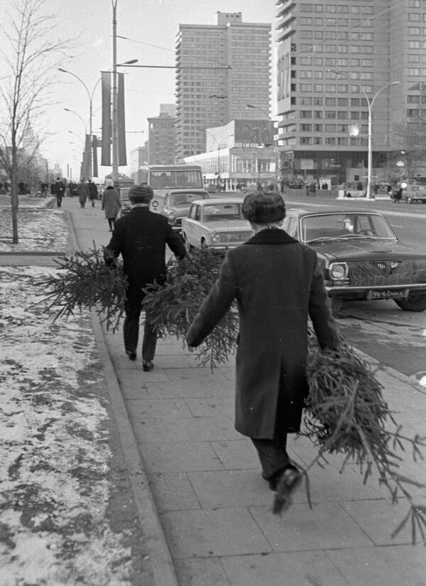 خرید درخت کریسمس در آستانه جشن سال نو – سال ۱۹۷۸ - اسپوتنیک افغانستان  