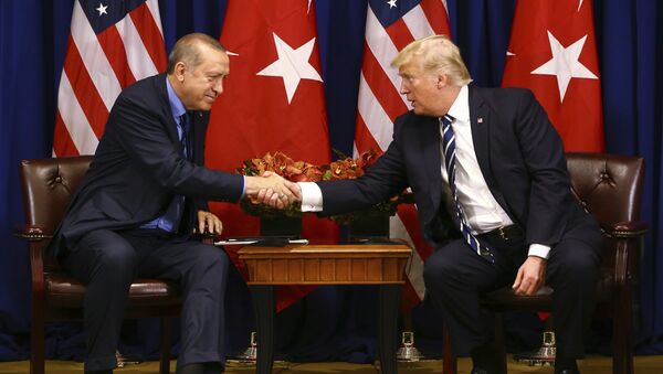 گفتگوی ترامپ و اردوغان به حادثه‌ای فاجعه بار انجامید - اسپوتنیک افغانستان  
