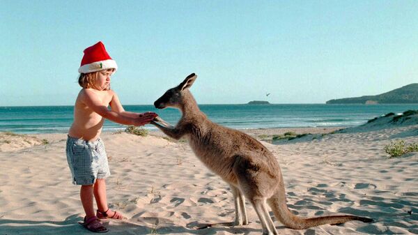 Девочка с кенгуру на пляже накануне Рождества в Австралии  - اسپوتنیک افغانستان  