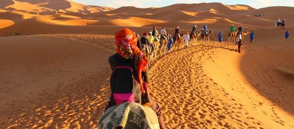 اقلیم صحرای بزرگ افریقا هر بیست هزار سال یکبار تغییر می‌کند - اسپوتنیک افغانستان  