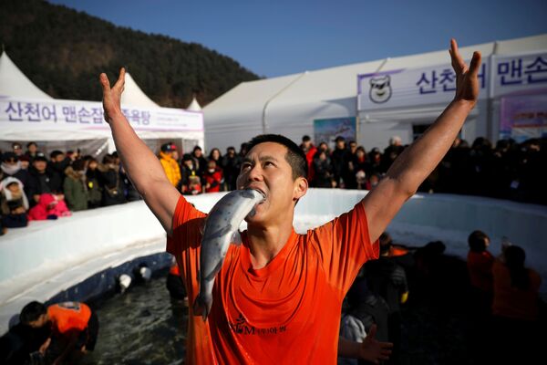 جشنواره ماهی‌گیری در کوریای جنوبی - اسپوتنیک افغانستان  
