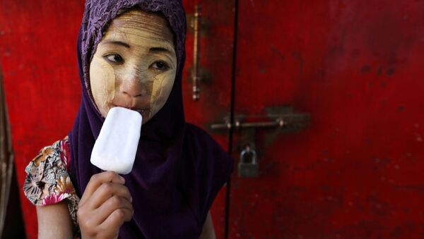 Sina (چین): چهار نوع شیریخ چینی که خارجی ها را حیرت زده می کند - اسپوتنیک افغانستان  