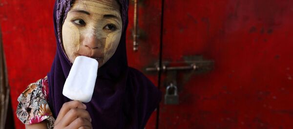 Sina (چین): چهار نوع شیریخ چینی که خارجی ها را حیرت زده می کند - اسپوتنیک افغانستان  