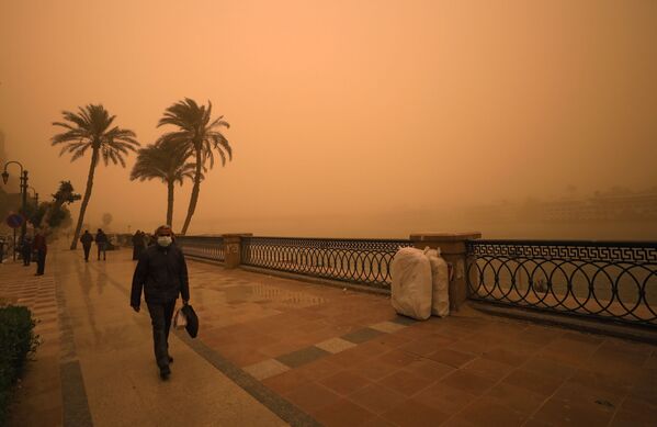 طوفان ریگ در شهر قاهره، مصر - اسپوتنیک افغانستان  