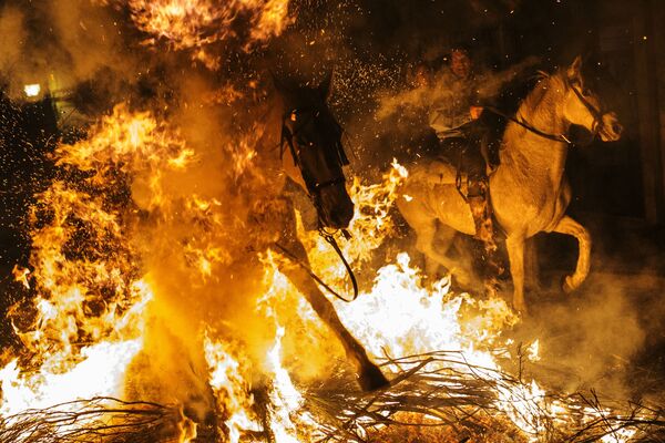 اسب های آتشین در فستیوال روشنایی - منطقه سنت بارتلومی، اسپانیا - اسپوتنیک افغانستان  