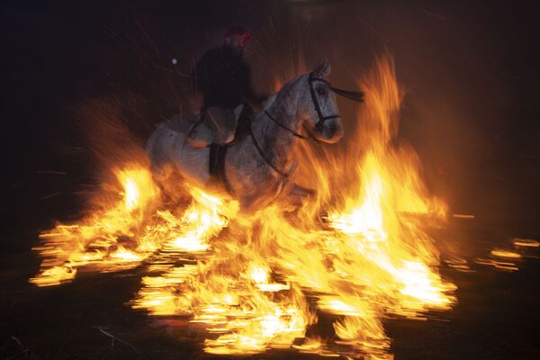 اسب های آتشین در فستیوال روشنایی - منطقه سنت بارتلومی، اسپانیا - اسپوتنیک افغانستان  