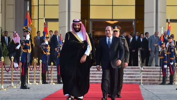 رهبران مصر و عربستان ترامپ را وادار به حمایت از مارشال حفتر کردند - اسپوتنیک افغانستان  