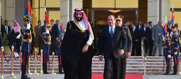 رهبران مصر و عربستان ترامپ را وادار به حمایت از مارشال حفتر کردند رهبران مصر و عربستان ترامپ را وادار به حمایت از مارشال حفتر کردند - اسپوتنیک افغانستان