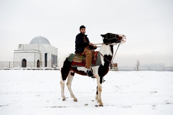 داکتر محمد جاوید مومند، در حال عکس گرفتن در کابل، افغانستان - اسپوتنیک افغانستان  