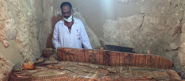 کشف 50 مومیایی در مصر + ویدئو و عکس کشف 50 مومیایی در مصر + ویدئو و عکس - اسپوتنیک افغانستان