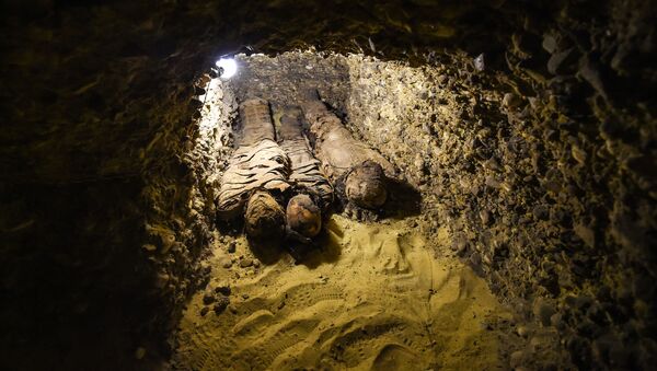 کشف اجساد مومیایی شده در قبرستان باستانی در 340 کیلومتری جنوب قاهره . - اسپوتنیک افغانستان  