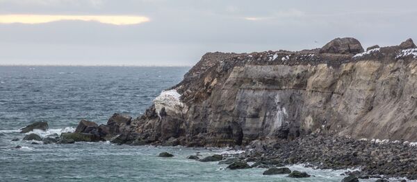 سریع شدن جابجایی قطب مغناطیسی زمین سریع شدن جابجایی قطب مغناطیسی زمین - اسپوتنیک افغانستان