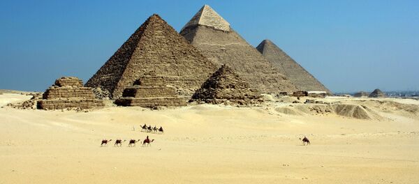 کشف اسکلت اسرار آمیز در مصر کشف اسکلت اسرار آمیز در مصر - اسپوتنیک افغانستان