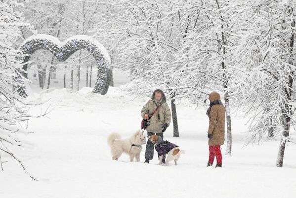عابران در یکی از پارک های پوشیده از برف در مسکو - اسپوتنیک افغانستان  