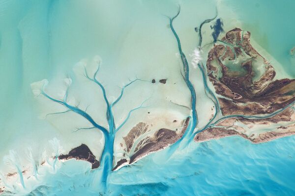 جزیره لانگ آیلند، باهاما - اسپوتنیک افغانستان  
