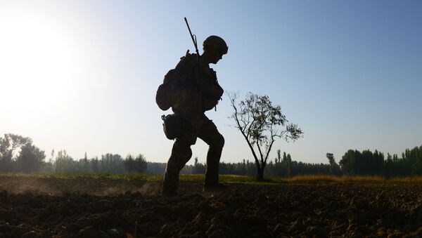 کشته شدن یک سرباز امریکایی در ولایت فراه  - اسپوتنیک افغانستان  